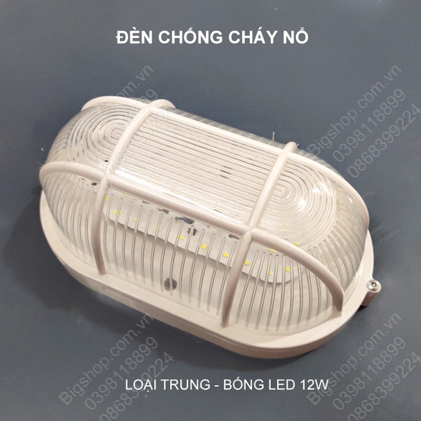 Đèn chống ẩm phòng chống nổ, có loại đèn led hoặc đui xoáy E27 tùy chọn