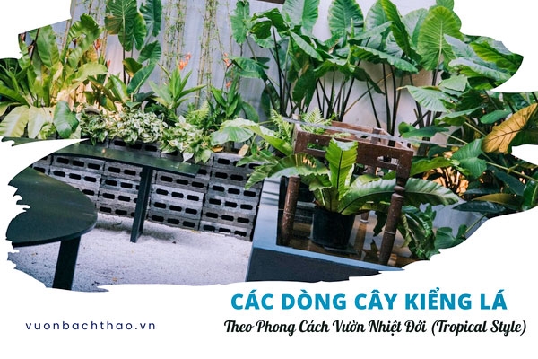 Tổng Hợp Các Dòng Cây Kiểng Lá Decor Theo Phong Cách Vườn Nhiệt Đới (Tropical Style)
