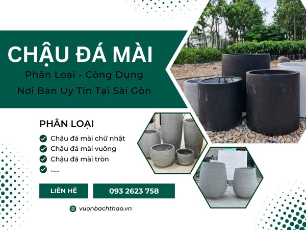 Chậu Đá Mài Trồng Cây Cảnh, Phân Loại, Công Dụng, Nơi Bán Uy Tín Tại Sài Gòn