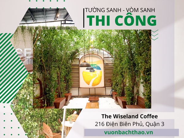 Thi Công Tường Sanh - Vòm Sanh Tại The Wiseland Coffee 216 Điện Biên Phủ, Quận 3