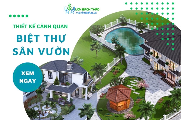 Thiết Kế Cảnh Quan Biệt Thự Sân Vườn Đẹp, Giá Rẻ, Chuyên Nghiệp
