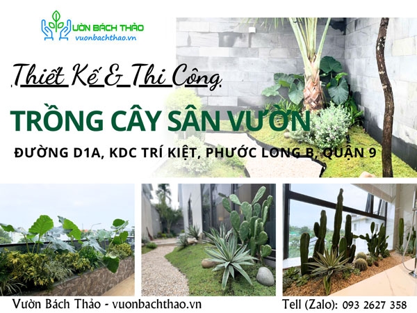 Thiết Kế, Thi Công Trồng Cây Sân Vườn Nhà Đường D1A, KDC Trí Kiệt, Phước Long B, Quận 9