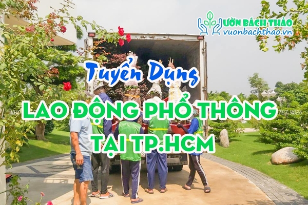 Tuyển Dụng Lao Động Phổ Thông Tại TP.HCM