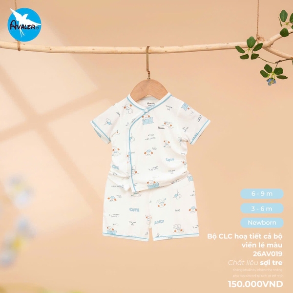 Bộ CLC họa tiết cả bộ 26AV019