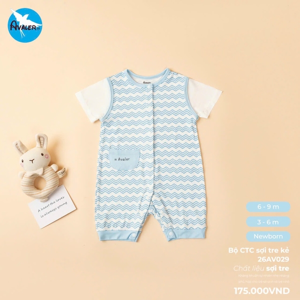 Body CTC sợi tre kẻ 26AV029