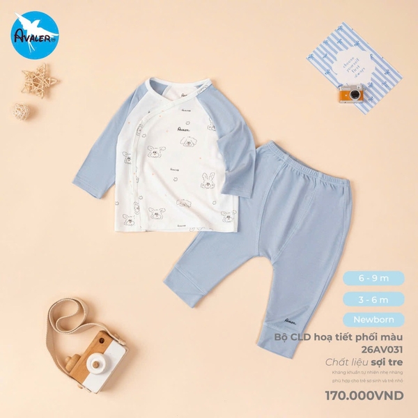 Bộ CLD hoạ tiết phối màu 26AV031