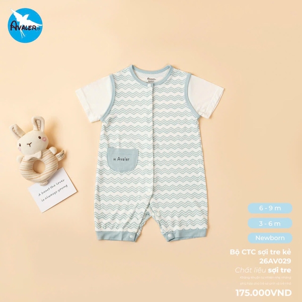 Body CTC sợi tre kẻ 26AV029