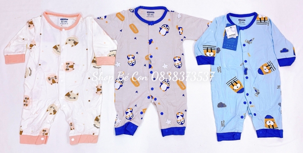 Body liền Mompa