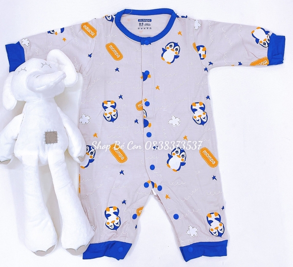 Body liền Mompa