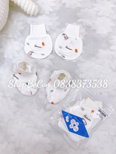 Set bao chan tay sợi tre 22AP02