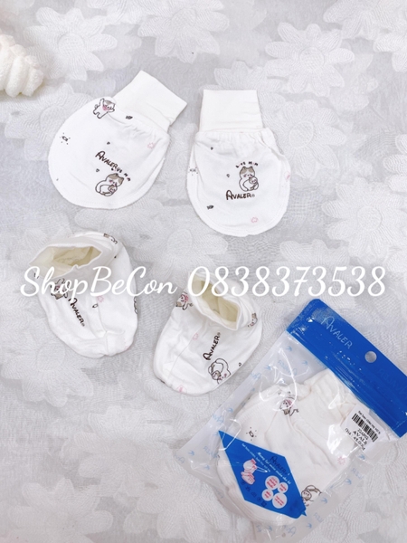 Set bao chan tay sợi tre 22AP02