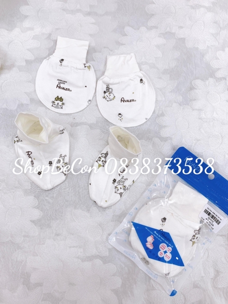 Set bao chan tay sợi tre 22AP02