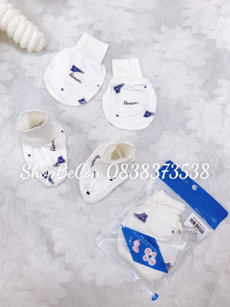 Set bao chan tay sợi tre 22AP02