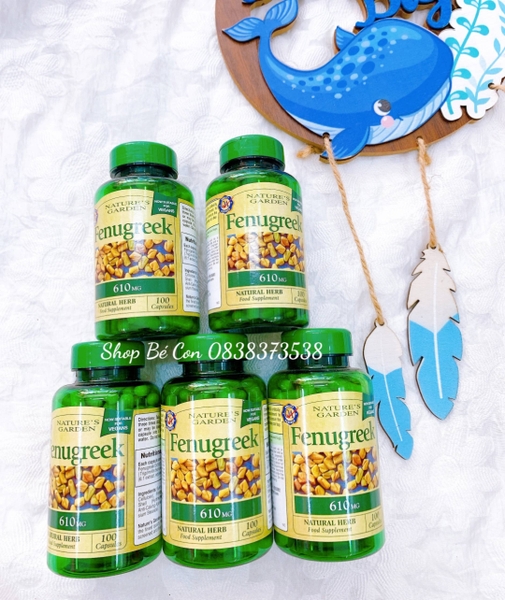 Cỏ lợi sữa Fenugreek 610mg Nature’s Garden UK