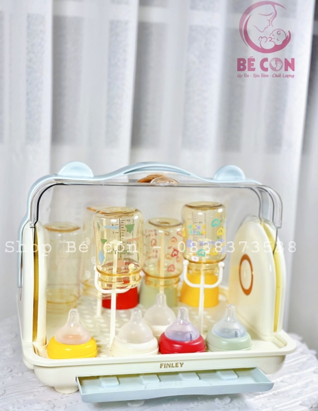 Úp bình gấu Holla