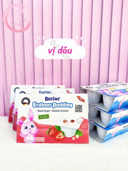 Pudding Ăn Dặm Burine Dành Cho Bé Từ 6 Tháng Tuổi
