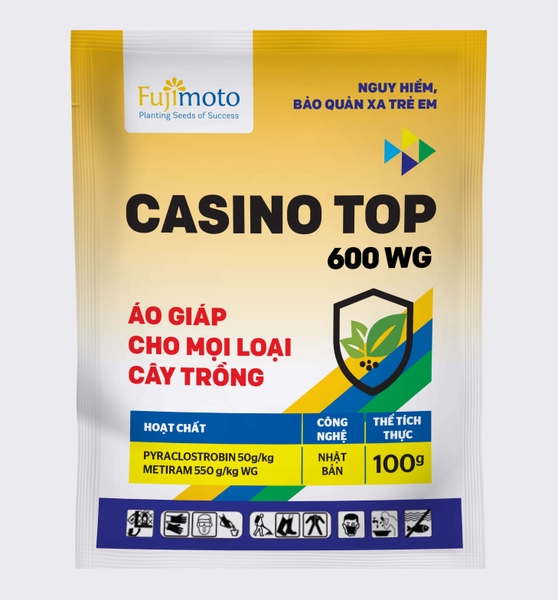 casino-top-600-wg