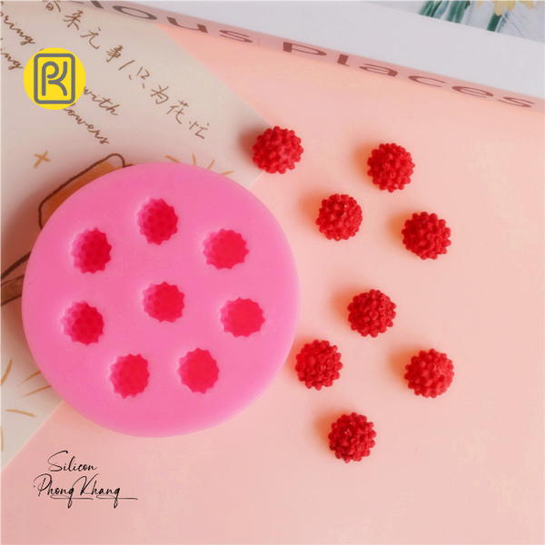 khuon-silicon-phuc-bon-tu