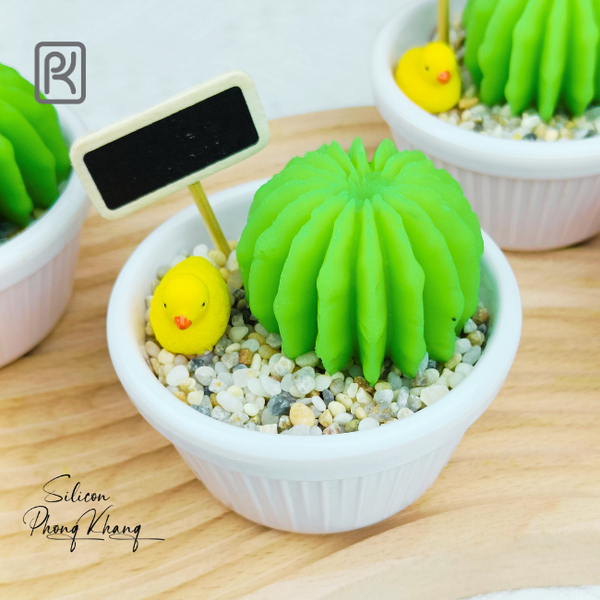 khuon-silicon-xuong-rong