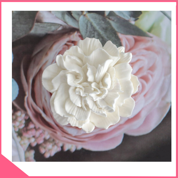 khuon-silicon-4d-hoa-mau-don-xoan