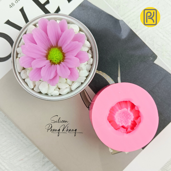 khuon-silicon-hoa-cuc