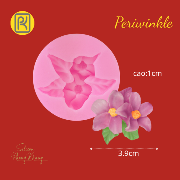 khuon-silicon-hoa-dua-can