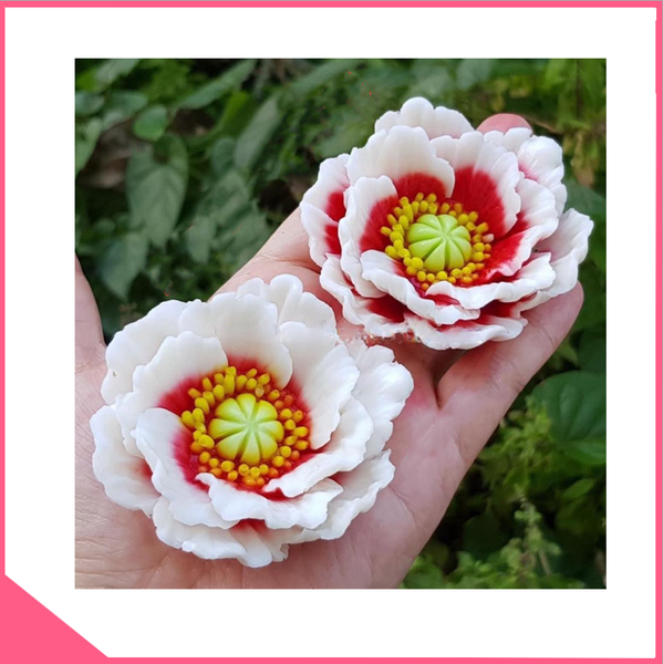 khuon-silicon-4d-lam-rau-cau-hoa-canh-beo