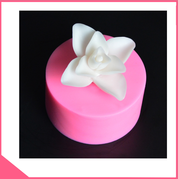 khuon-silicon-4d-lam-rau-cau-hinh-hoa-lan