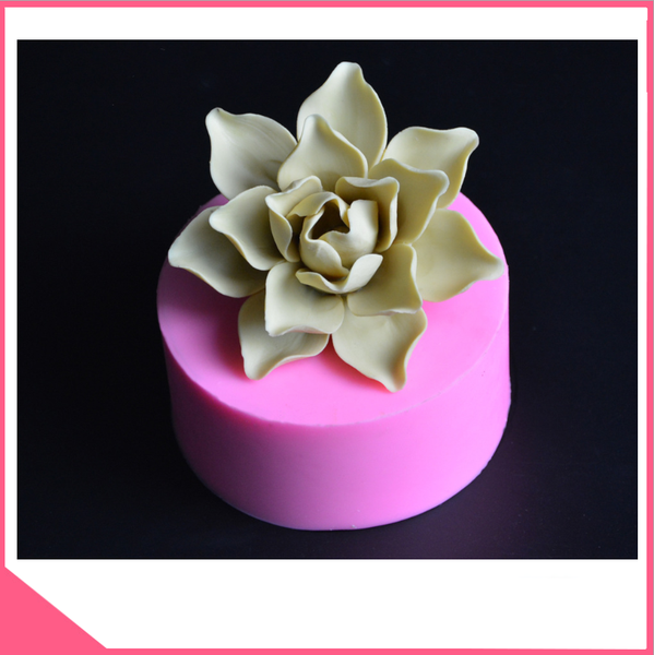 khuon-silicon-4d-lam-rau-cau-hinh-hoa-lan-nhieu-canh