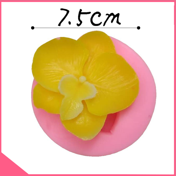 khuon-silicon-4d-lam-rau-cau-hoa-lan-ho-diep