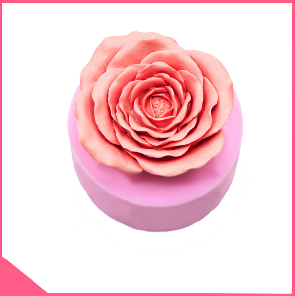 khuon-silicon-4d-lam-rau-cau-hoa-hong-cuc-dai