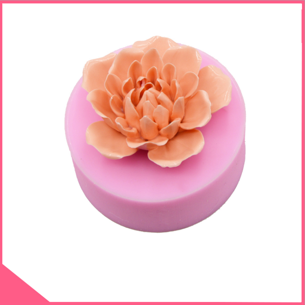 khuon-silicon-4d-lam-rau-cau-hoa-mau-don