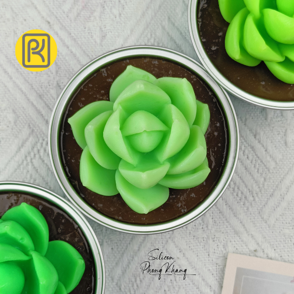 khuon-silicon-sen-da