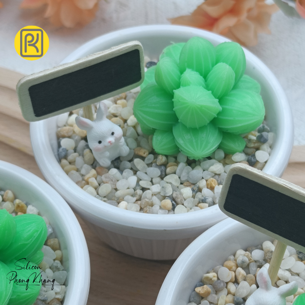 khuon-silicon-sen-da