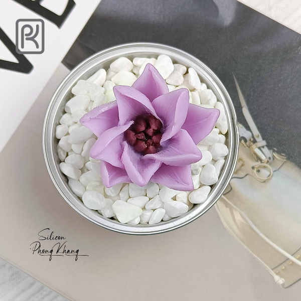 khuon-silicon-hoa-canh-xoay