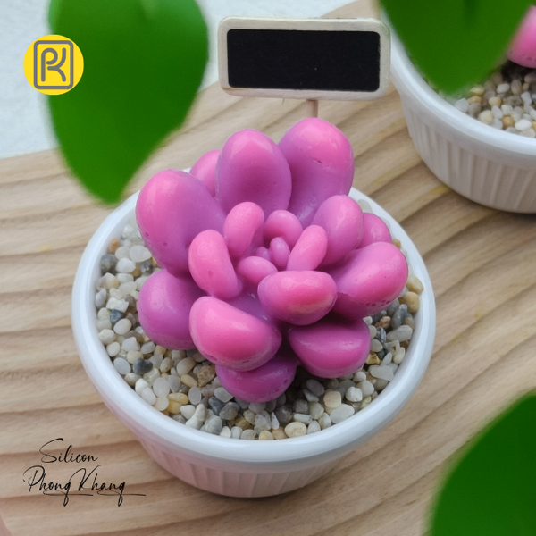 khuon-silicon-sen-da