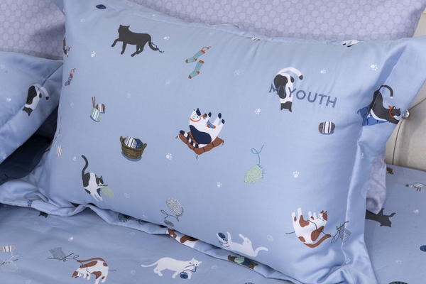 Bộ Chăn Ga Gối Hanvico My Youth - MY70