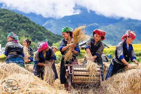 The Overhelmed Natural Vietnam Tour 11 Days