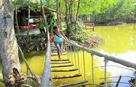 CAN GIO MANGROVE ECO AND WILDLIFE DISCOVERY TOUR