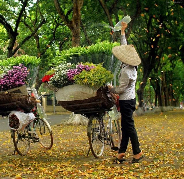 VIETNAM TOUR PACKAGE 7 DAYS INDIVIDUALLY DESIGNED