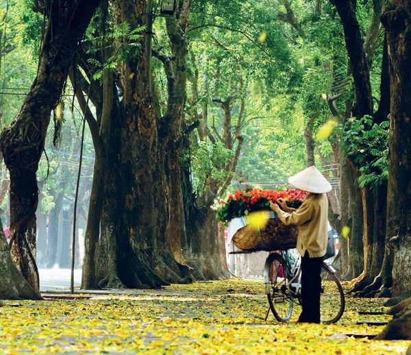 1 WEEK IN VIETNAM - 05 IDEAS FOR YOUR CHOICE