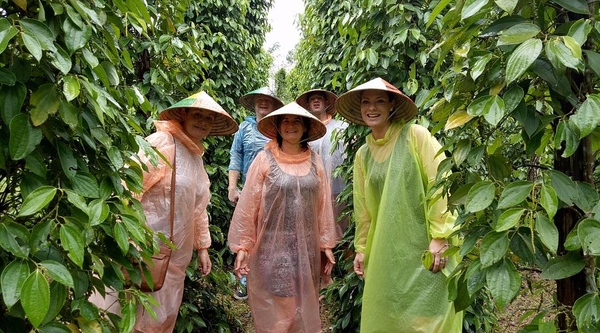 PHU QUOC ISLAND HALF-DAY EXPERIENCE