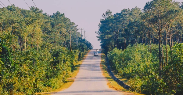 QUANG TRI DMZ AND HISTORICAL LEGACY TOUR