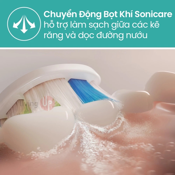 Combo bàn chải điện Philips Sonicare 4100 HX4043 và máy tăm nước Philips HX3826/31