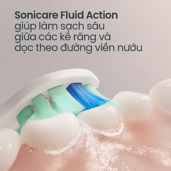 Hộp đầu bàn chải làm sạch mảng bám Philips Sonicare C2 Optimal Plaque Defence