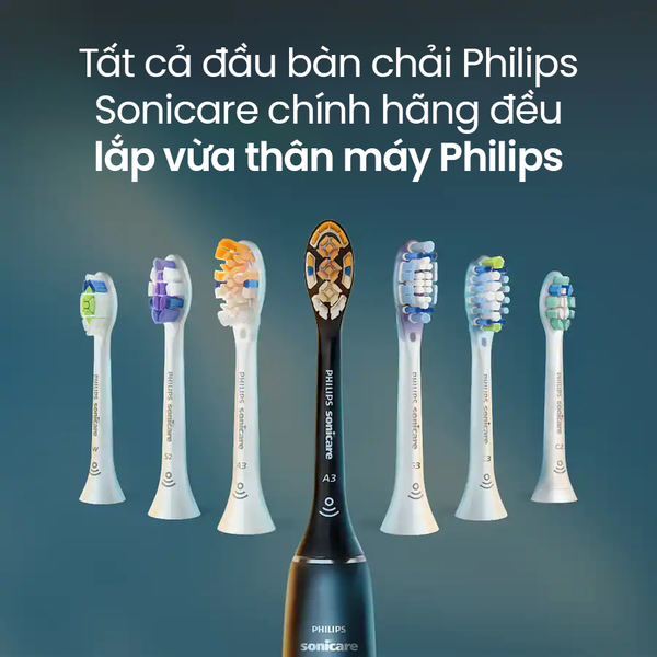 Hộp đầu bàn chải làm sạch mảng bám Philips Sonicare C2 Optimal Plaque Defence