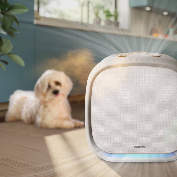 Máy lọc không khí dành cho nhà có nuôi thú cưng Philips PureProtect Pet Series 3000