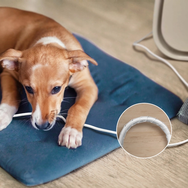 Máy lọc không khí dành cho nhà có nuôi thú cưng Philips PureProtect Pet Series 3000