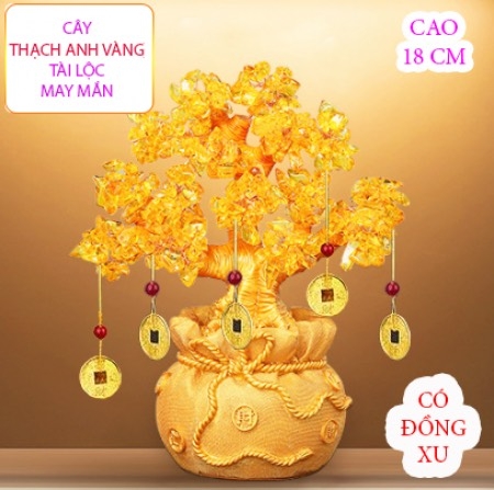 Cây Cẩm Thạch Vàng - Xanh 18cm (14)