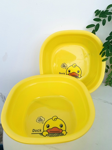 CHẬU NHỰA 27cm NHIỀU MÀU HÌNH VỊT (1)